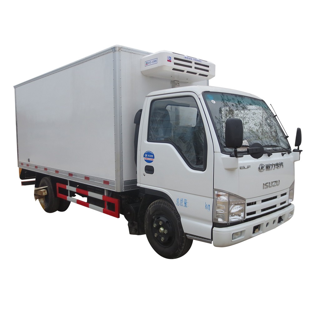 Corpo del camion refrigerato 4 * 2 da 3 tonnellate